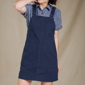 Toad & co earthworks jumper dress